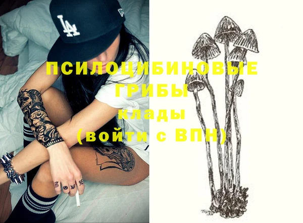 jwh Алзамай
